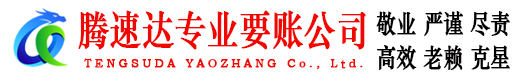 龙川腾速达清债公司